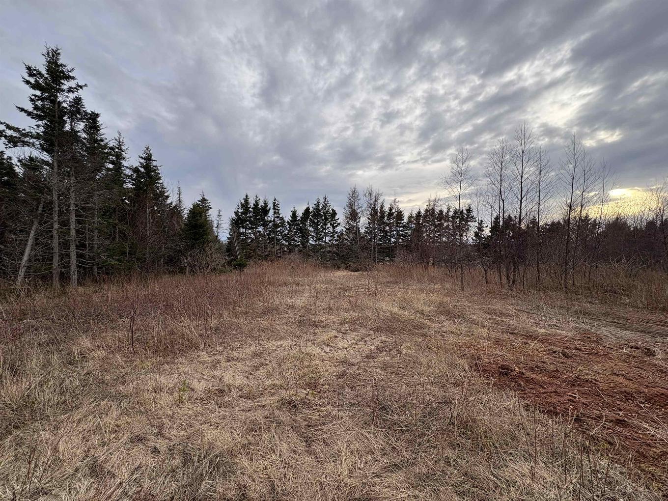 Lot Selkirk Park Road, Belfast, PE