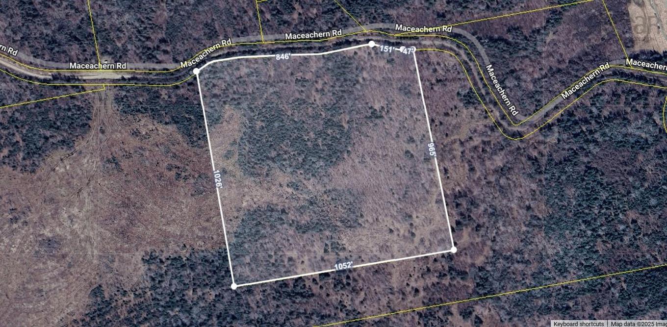 Maceachern Road, Judique North, NS