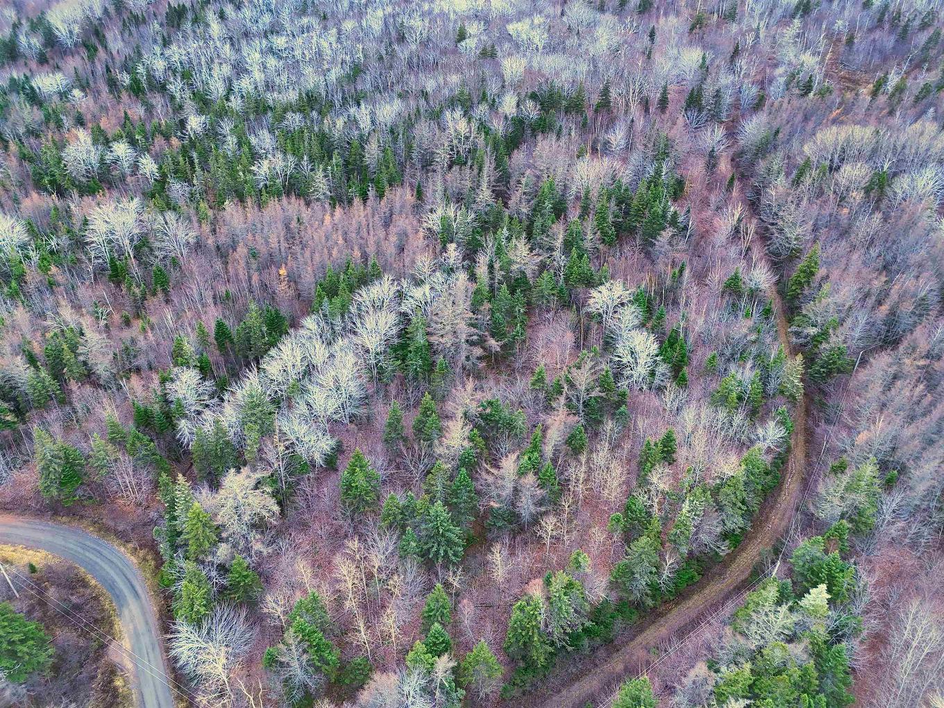 Maceachern Road, Judique North, NS