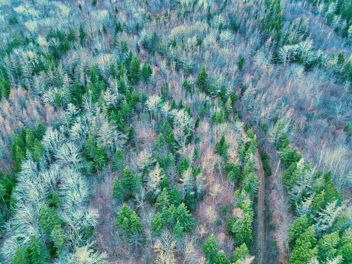 Maceachern Road, Judique North, NS