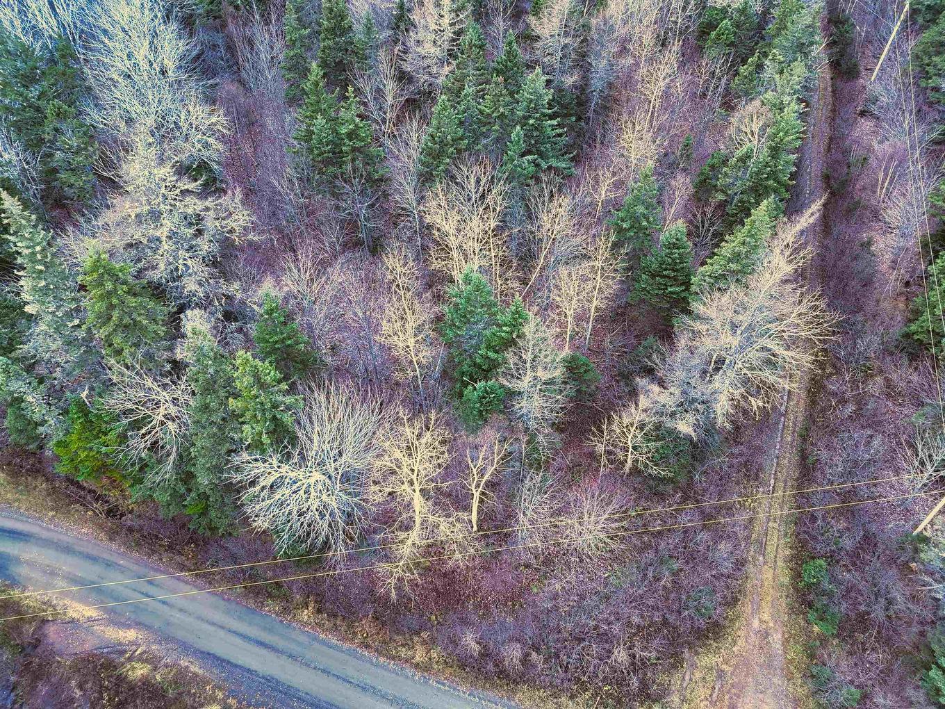 Maceachern Road, Judique North, NS