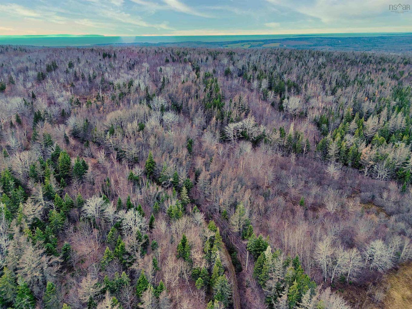 Maceachern Road, Judique North, NS