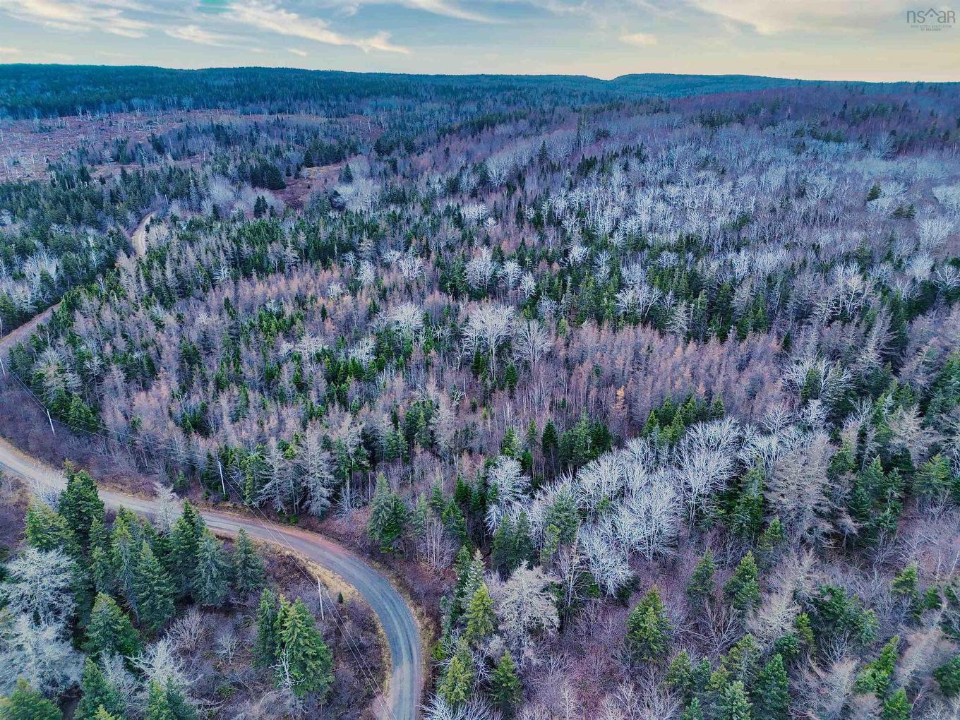 Maceachern Road, Judique North, NS