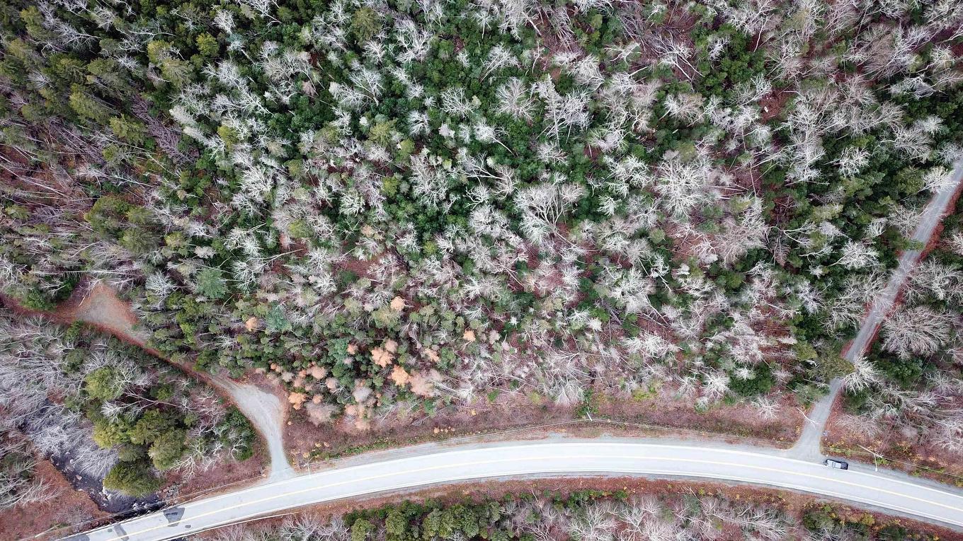 1241 Highway 224, Sheet Harbour, NS