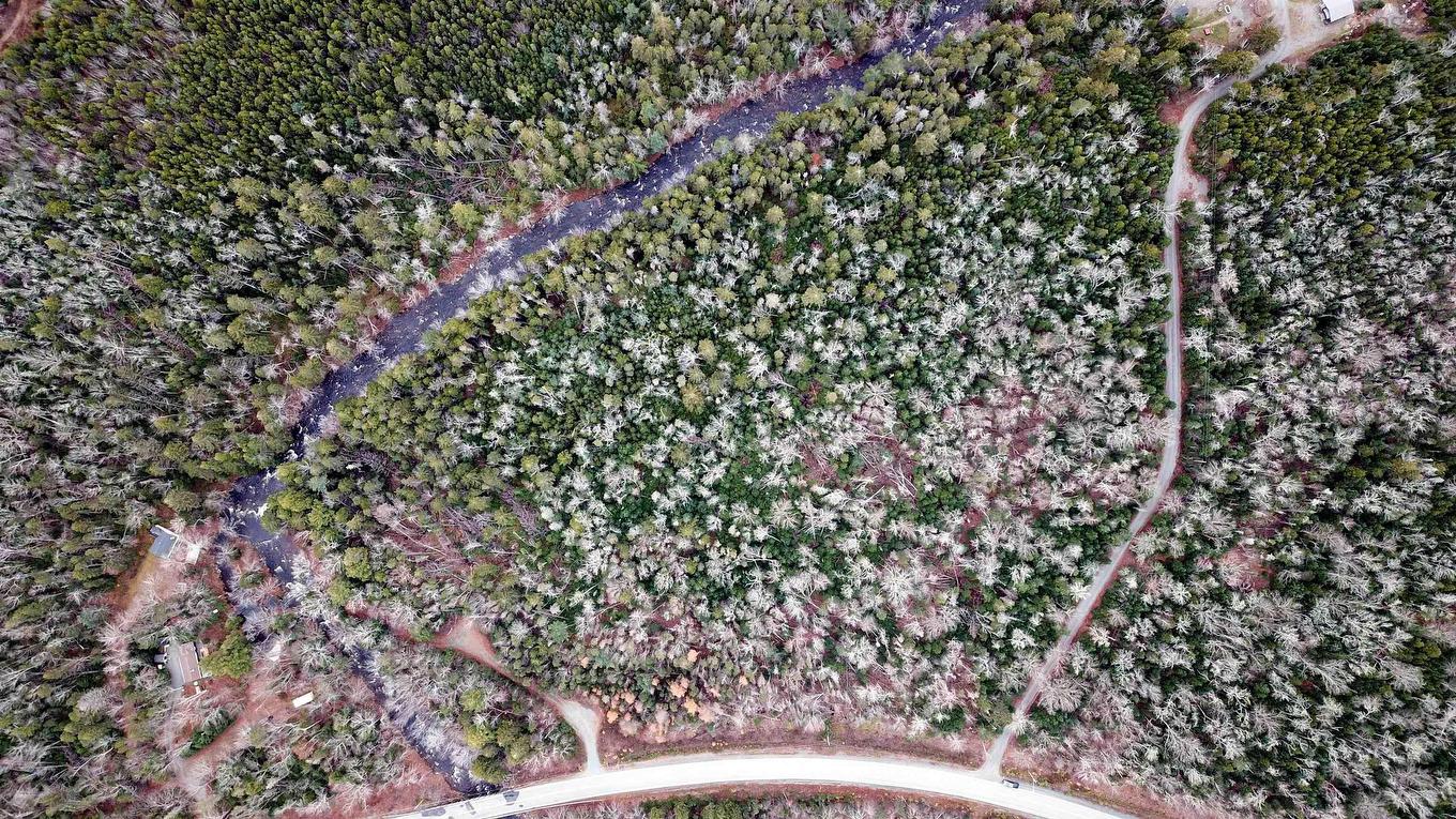 1241 Highway 224, Sheet Harbour, NS