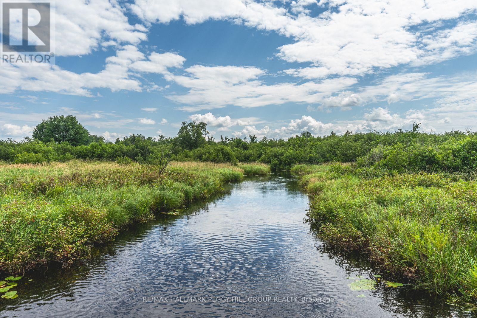 Lot 5 Concession 5, Kawartha Lakes, ON