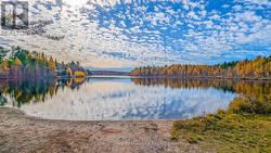 Golden City Lake... great for paddlers and pets! -