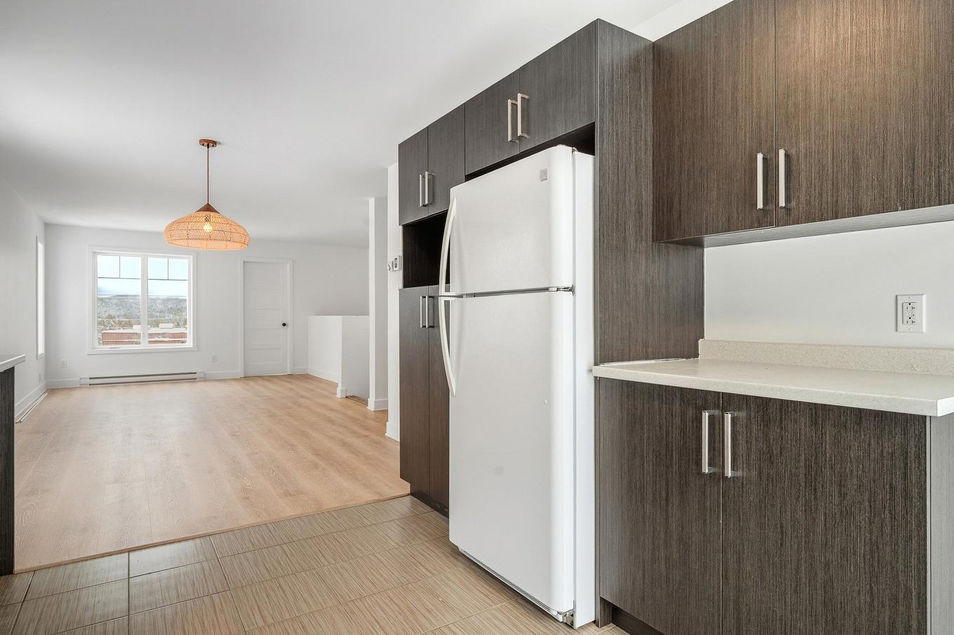 Kitchen - 550 Rue Valiquette, Sainte-Adèle, QC - Indoor Photo Showing Kitchen