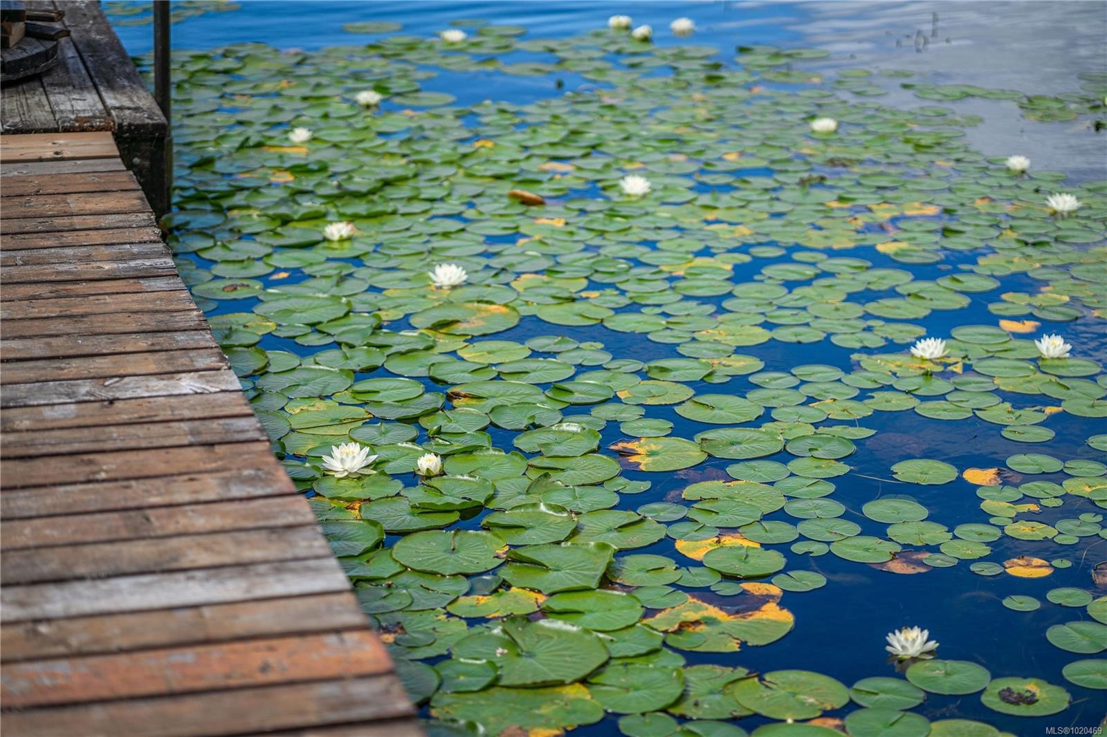 2880 Leigh Rd, Langford, BC