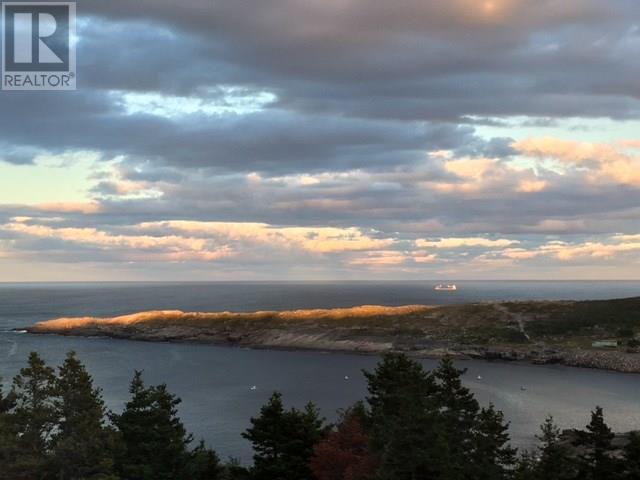 1 Wildberry Ridge, Flatrock, NL