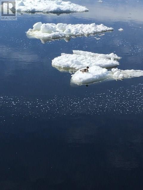 1 Wildberry Ridge, Flatrock, NL