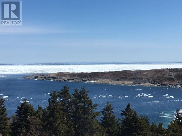 1 Wildberry Ridge, Flatrock, NL