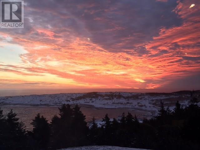 1 Wildberry Ridge, Flatrock, NL