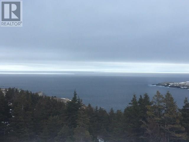 1 Wildberry Ridge, Flatrock, NL