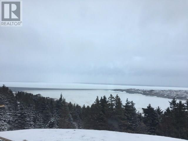 1 Wildberry Ridge, Flatrock, NL