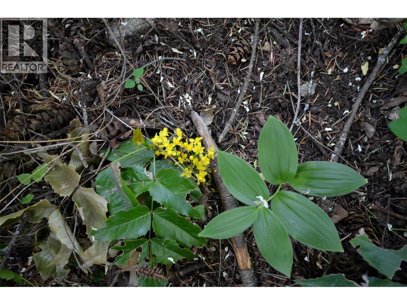 10713 Westshore Road, Vernon, BC