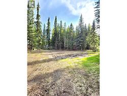 LOT 43 WOLFE ROAD 100 Mile House, BC V0K 2E3