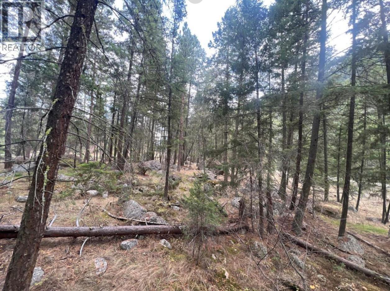 2267 Old Hedley Road, Princeton, BC