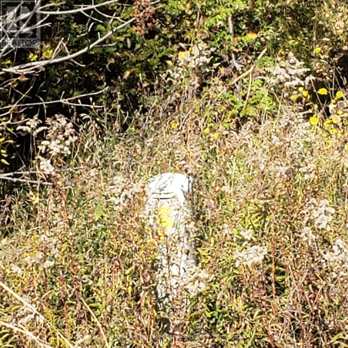 3048 Bruce Rd 86, Huron-Kinloss, ON