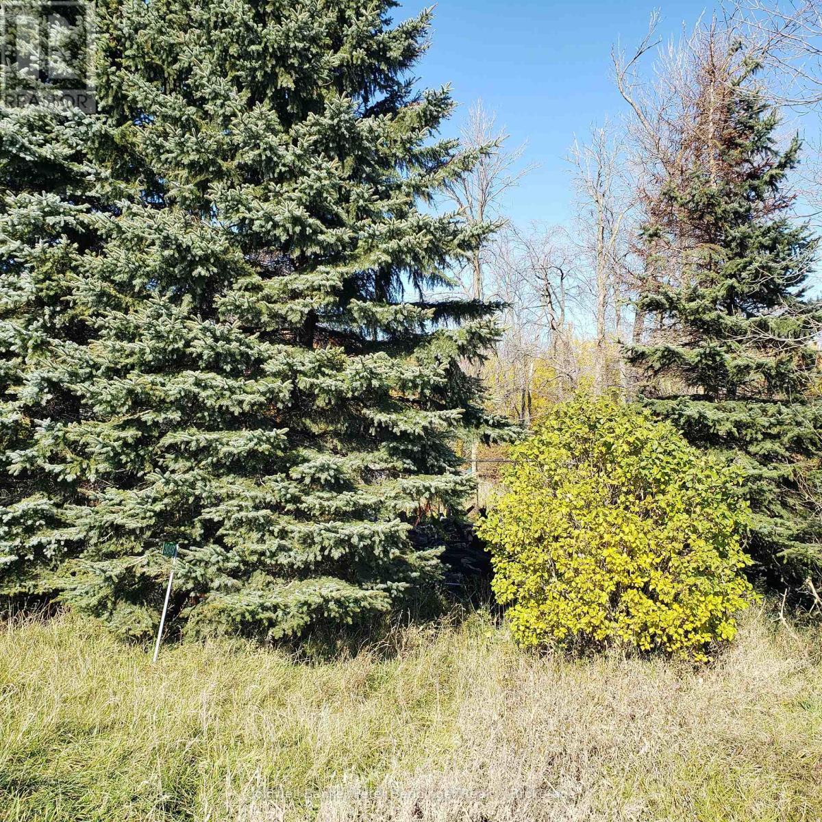 3048 Bruce Rd 86, Huron-Kinloss, ON