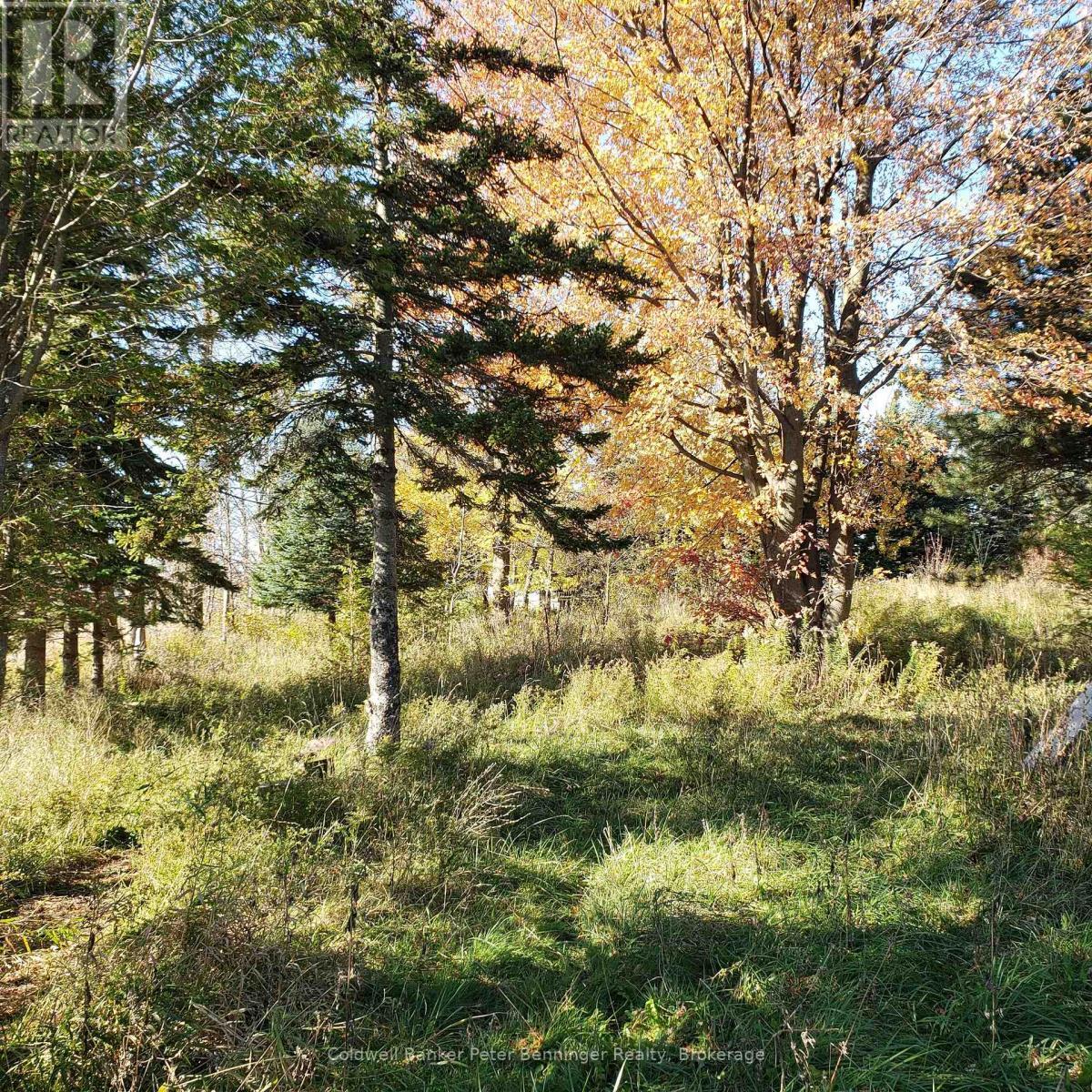 3048 Bruce Rd 86, Huron-Kinloss, ON