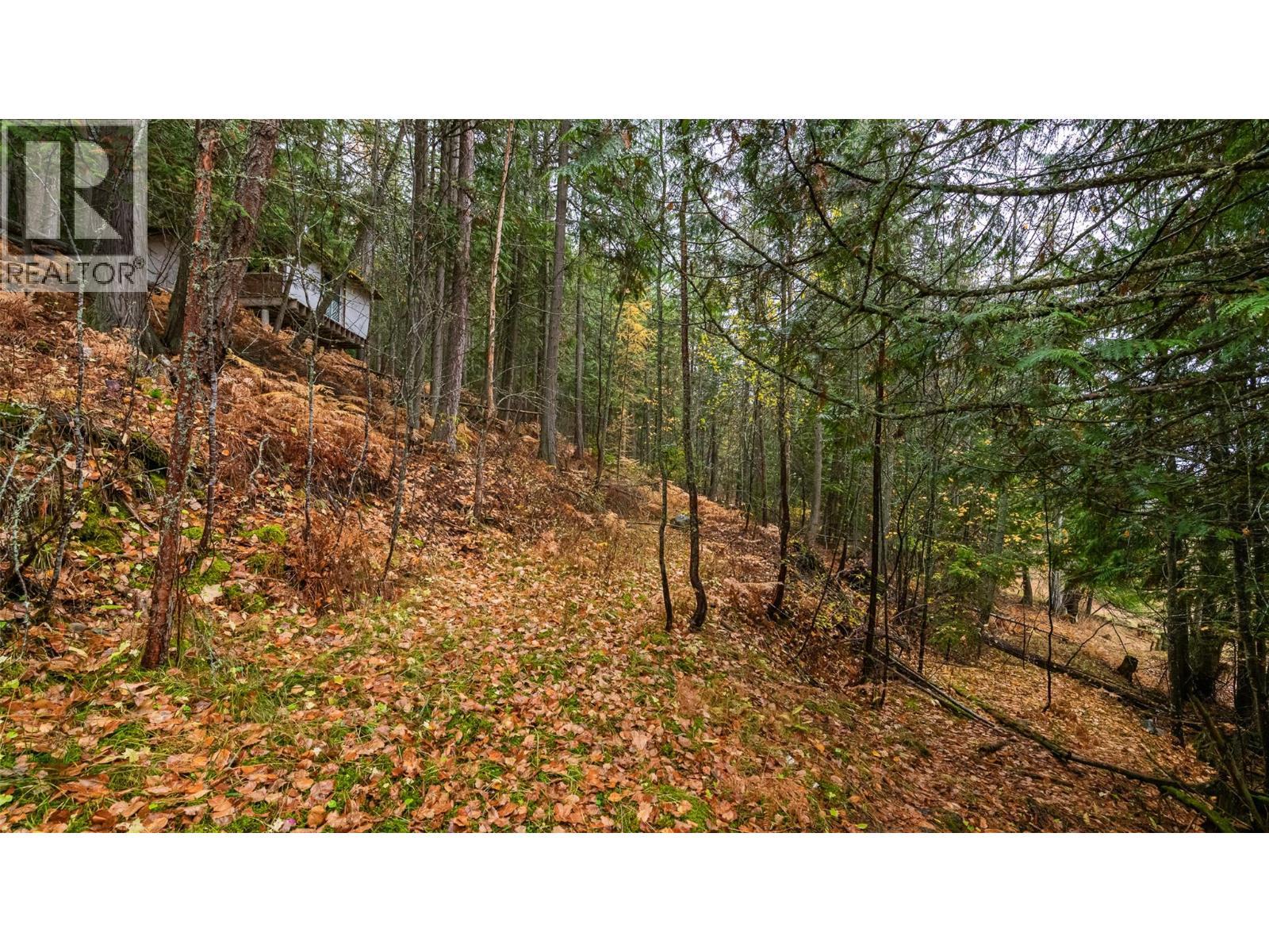 14448 3A Highway, Gray Creek, BC