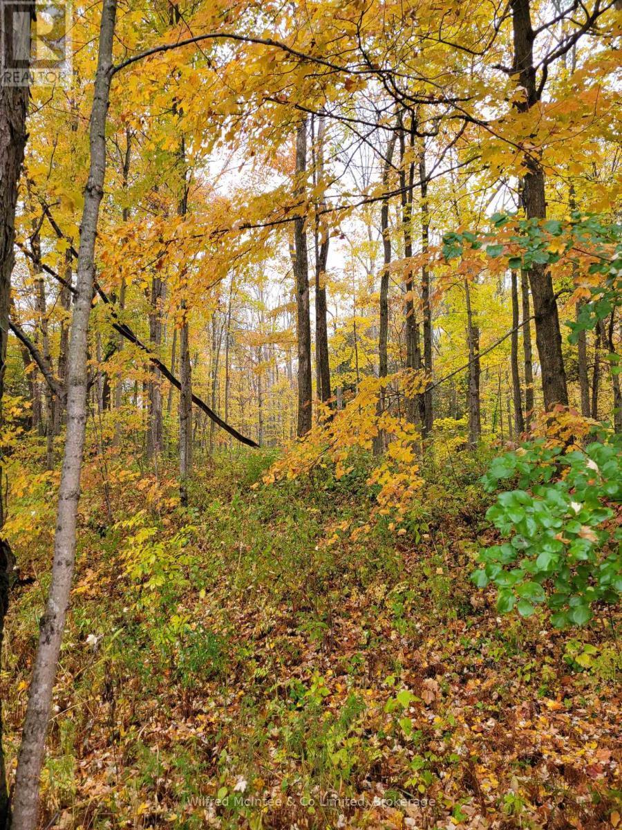 Lot 37 Con 2 Ndr, West Grey, ON