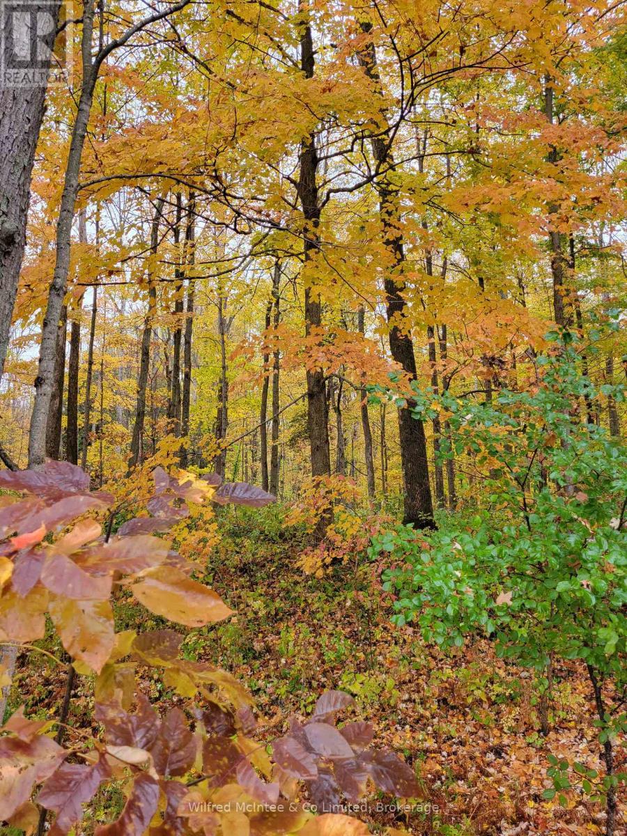 Lot 37 Con 2 Ndr, West Grey, ON