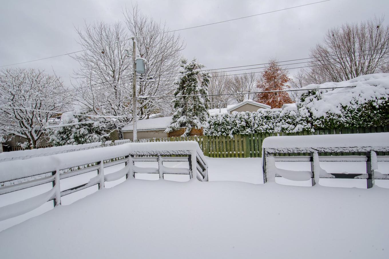 Backyard - 3580 Rue Boulay, Brossard, QC - Outdoor