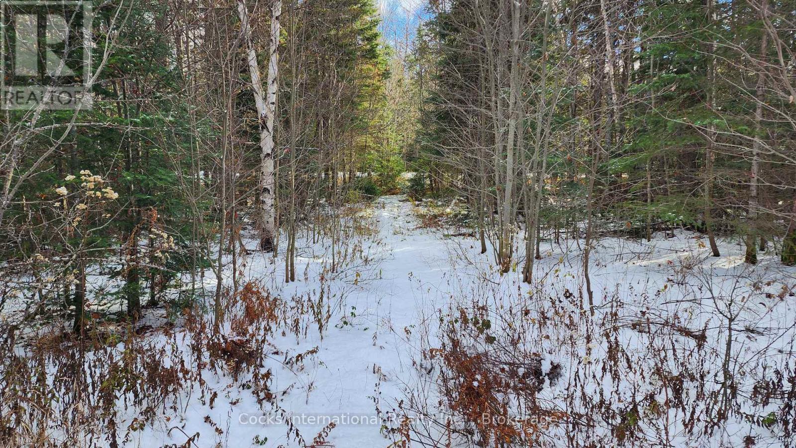 44 Expressway Road, Perry, ON - Outdoor With View