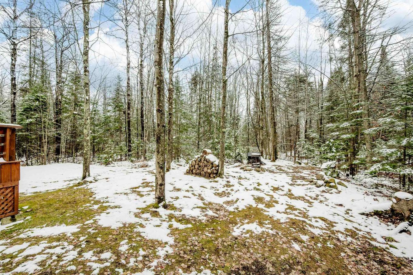 Extérieur - 81 Rue Raymond, Magog, QC - Outdoor