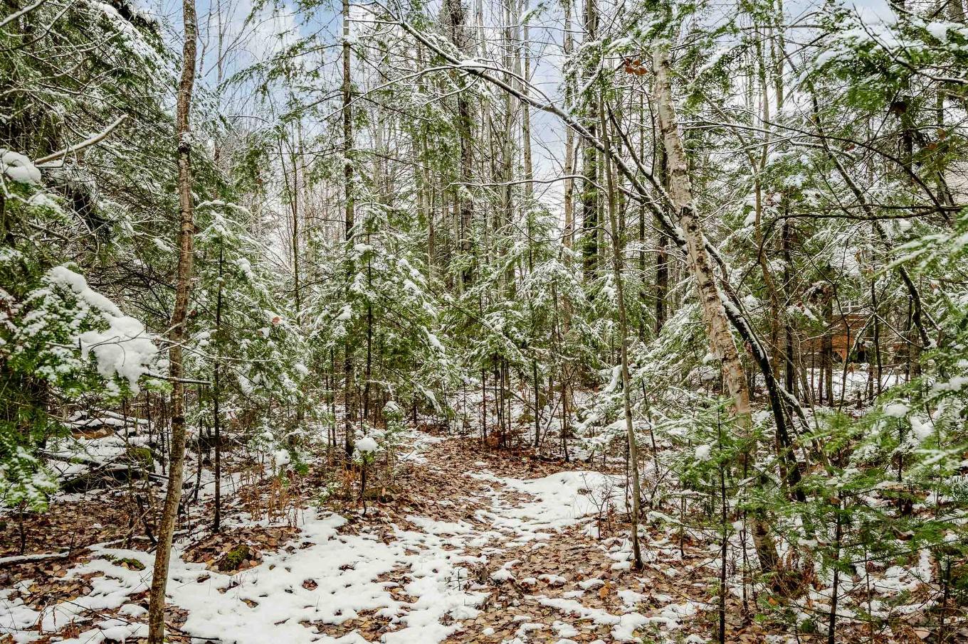 Extérieur - 81 Rue Raymond, Magog, QC - Outdoor