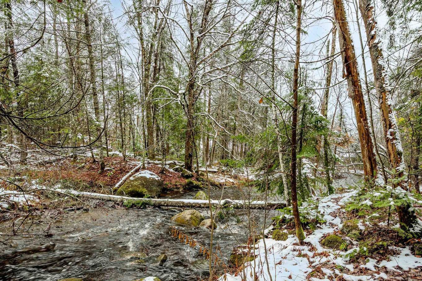Extérieur - 81 Rue Raymond, Magog, QC - Outdoor With View