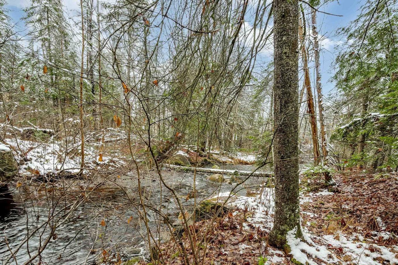 Extérieur - 81 Rue Raymond, Magog, QC - Outdoor With View