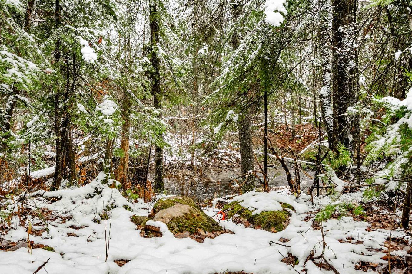 Extérieur - 81 Rue Raymond, Magog, QC - Outdoor