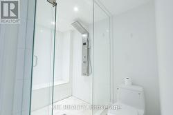 Lower-level bathroom, fully upgraded -