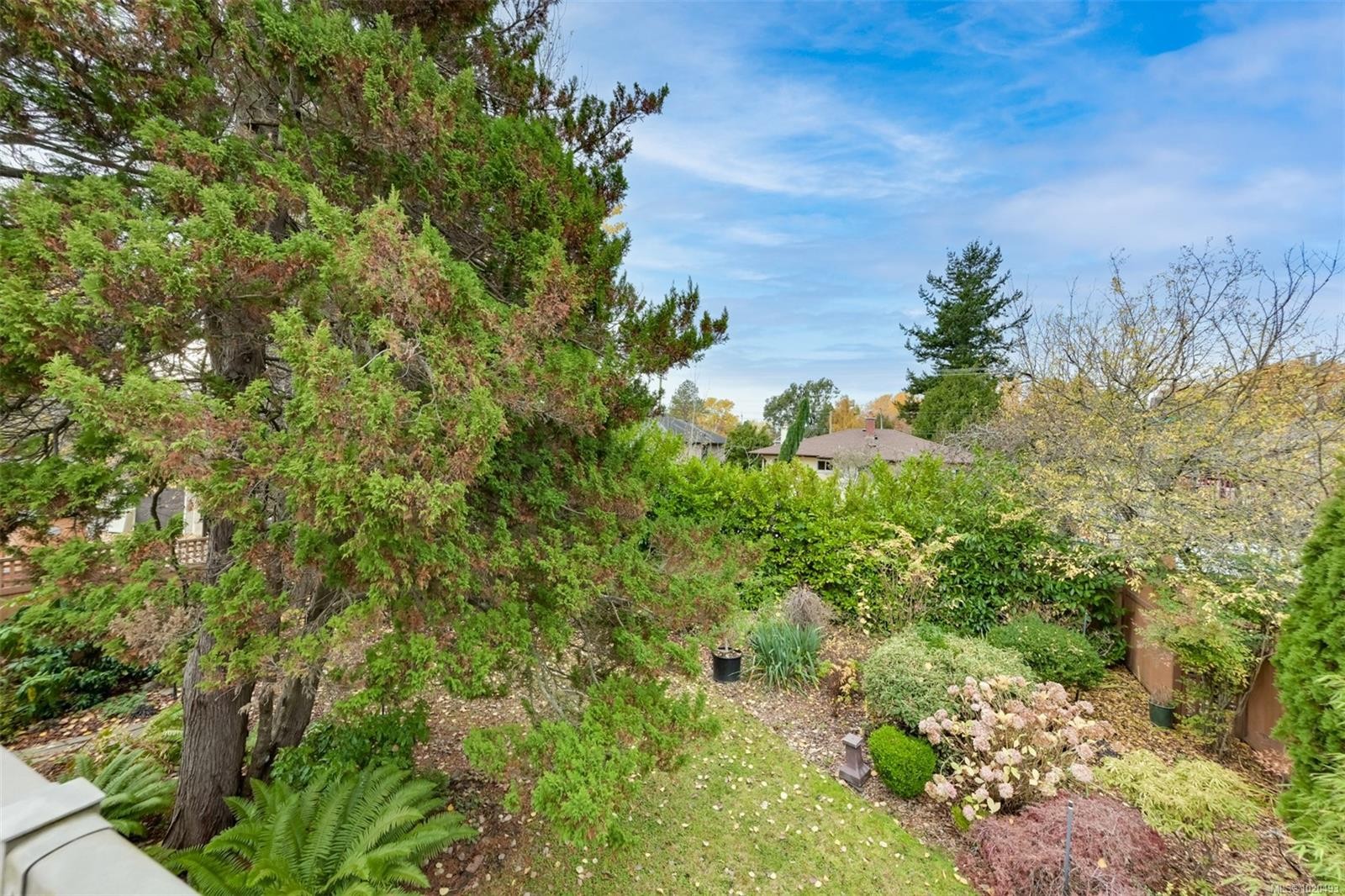 3312 Kingsley St, Saanich, BC