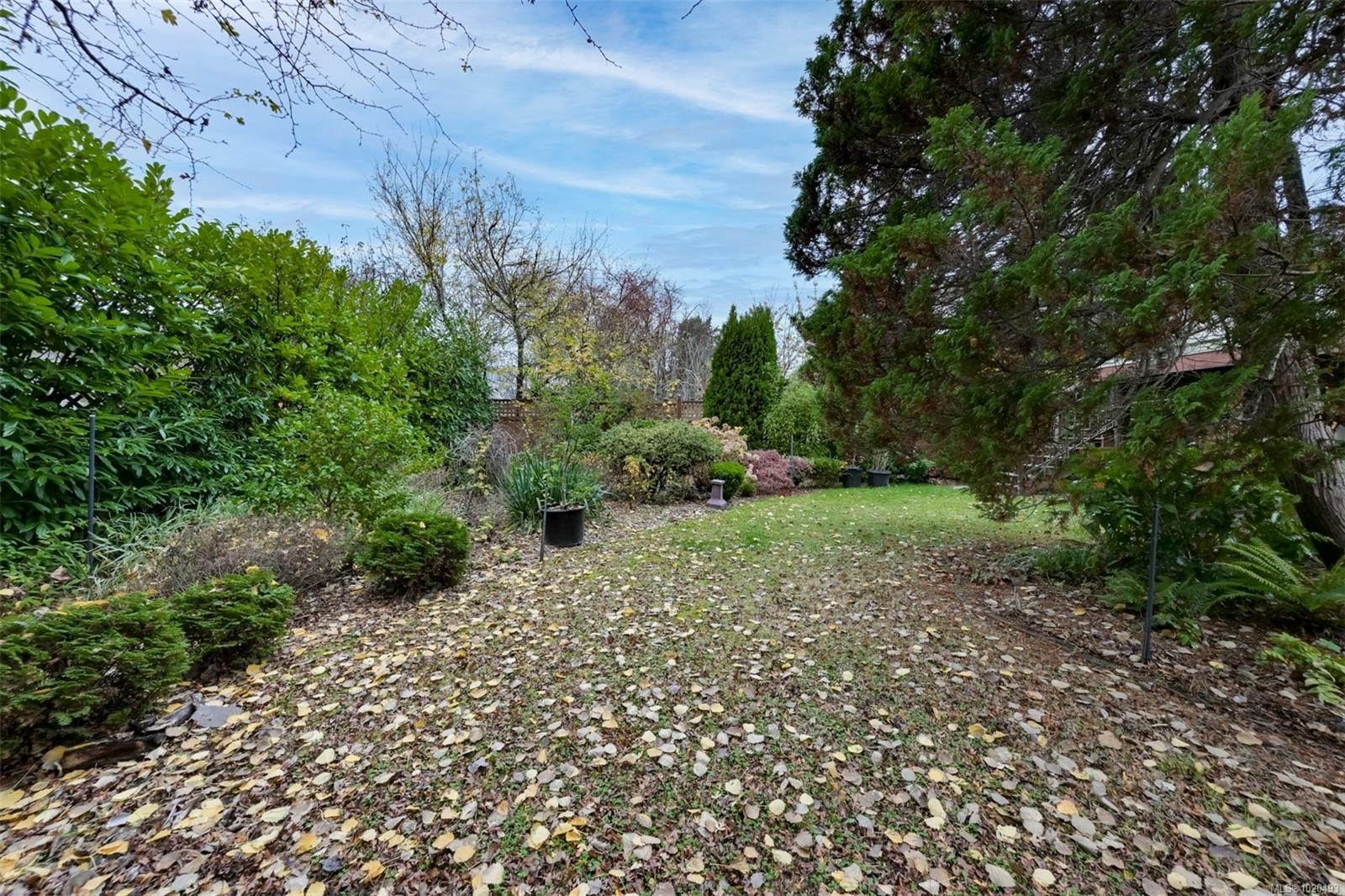 3312 Kingsley St, Saanich, BC