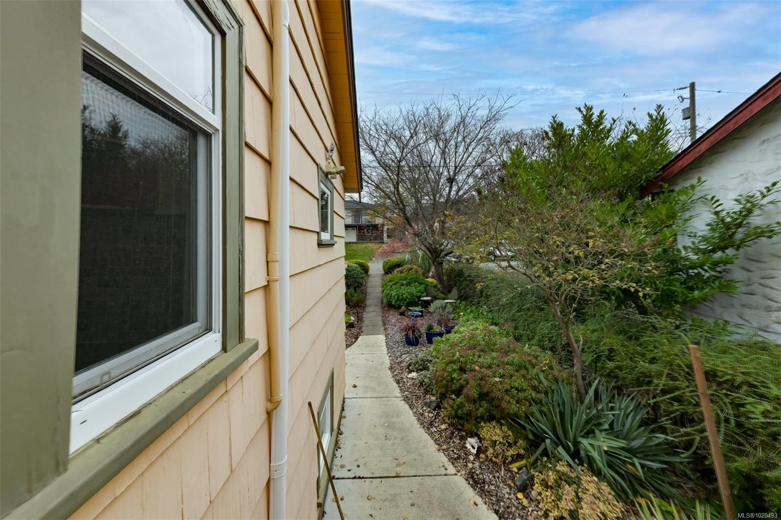 3312 Kingsley St, Saanich, BC