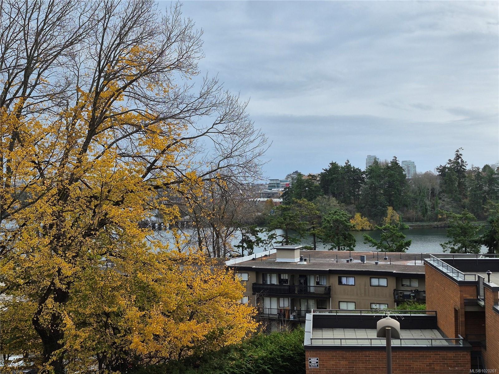 305-103 Gorge Rd East, Victoria, BC - Outdoor