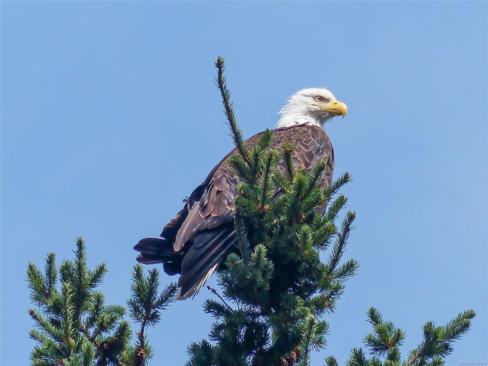 148 Pilkey Point Rd, Thetis Island, BC