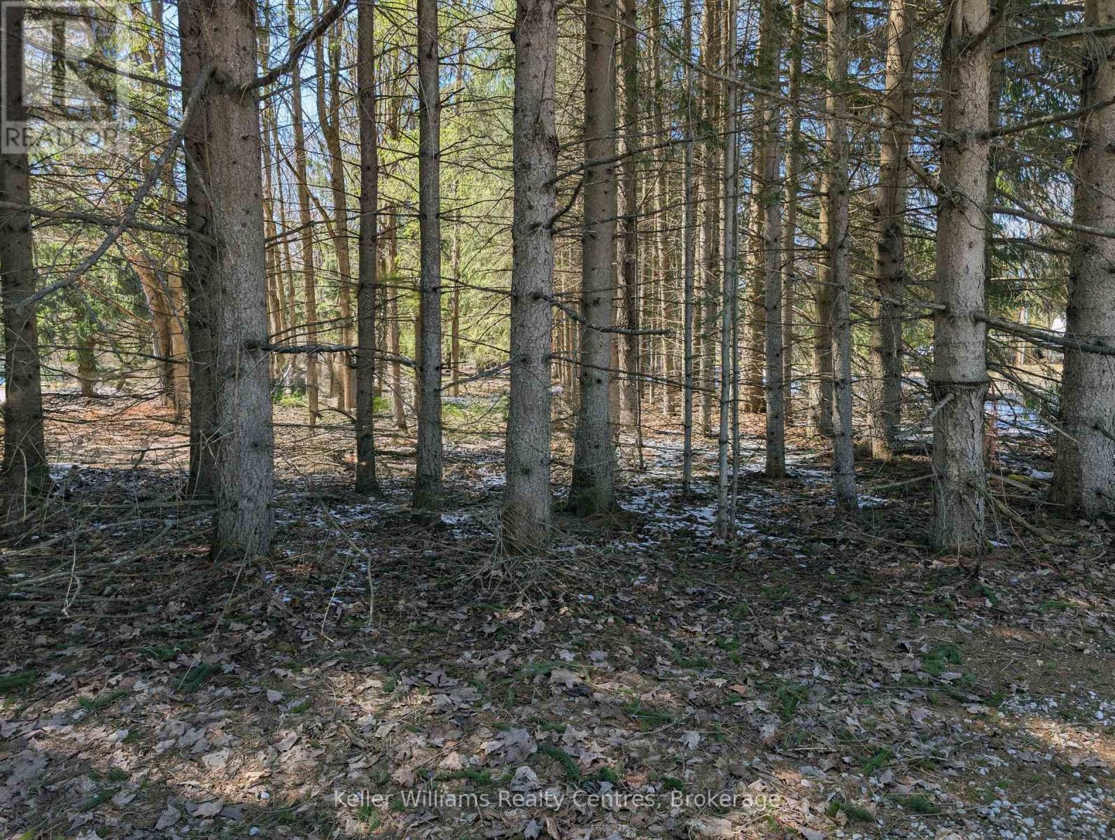 120 Anderson Drive S, West Grey, ON