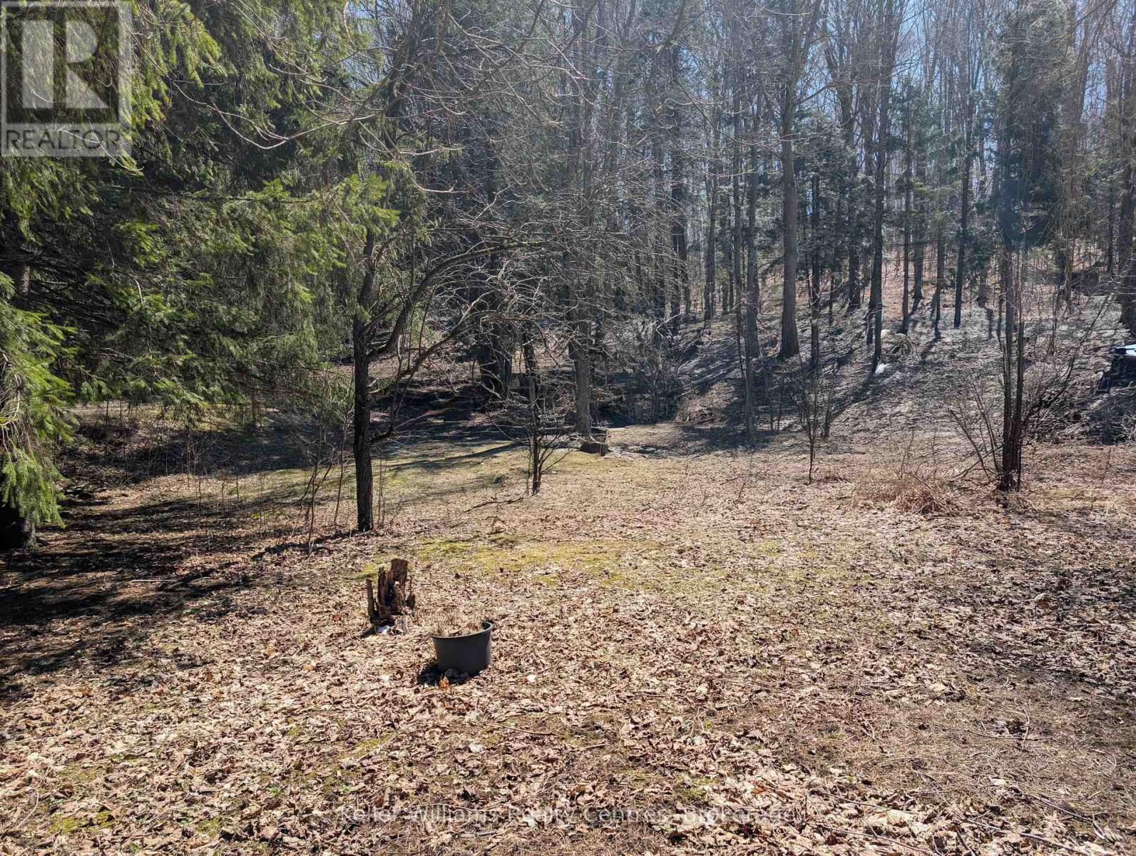 120 Anderson Drive S, West Grey, ON