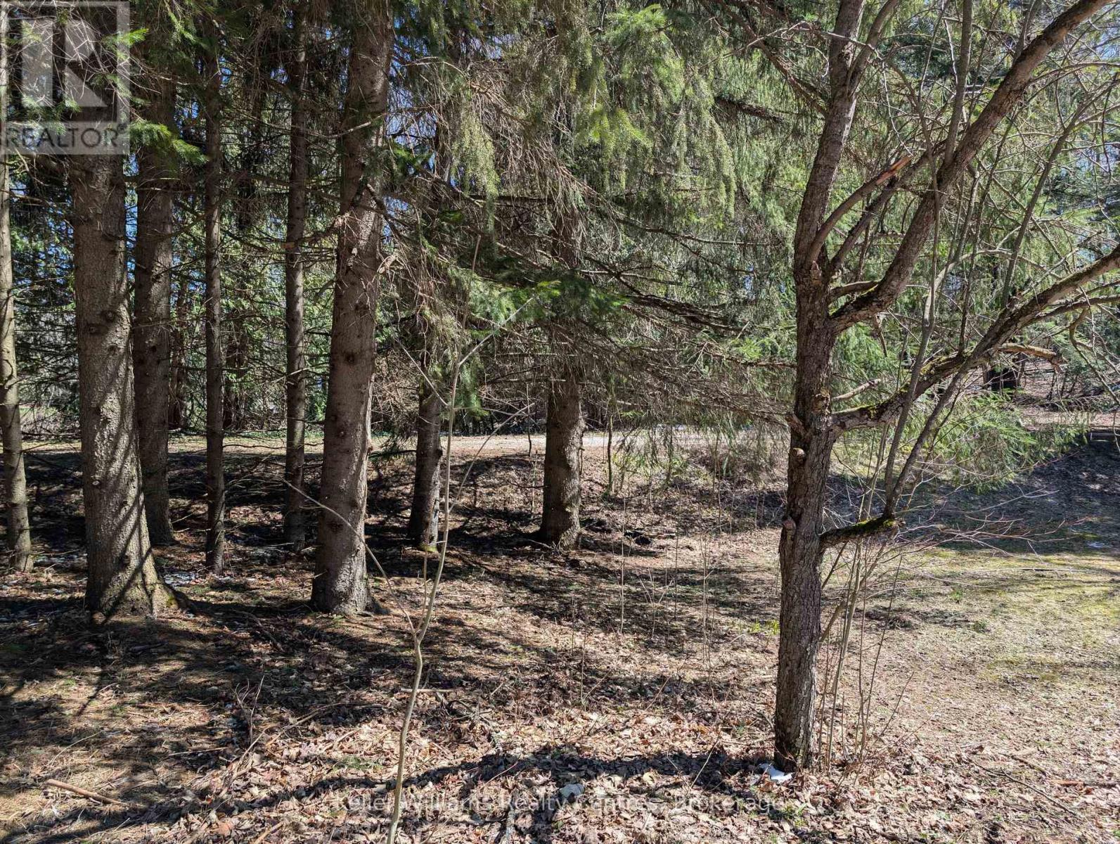 120 Anderson Drive S, West Grey, ON