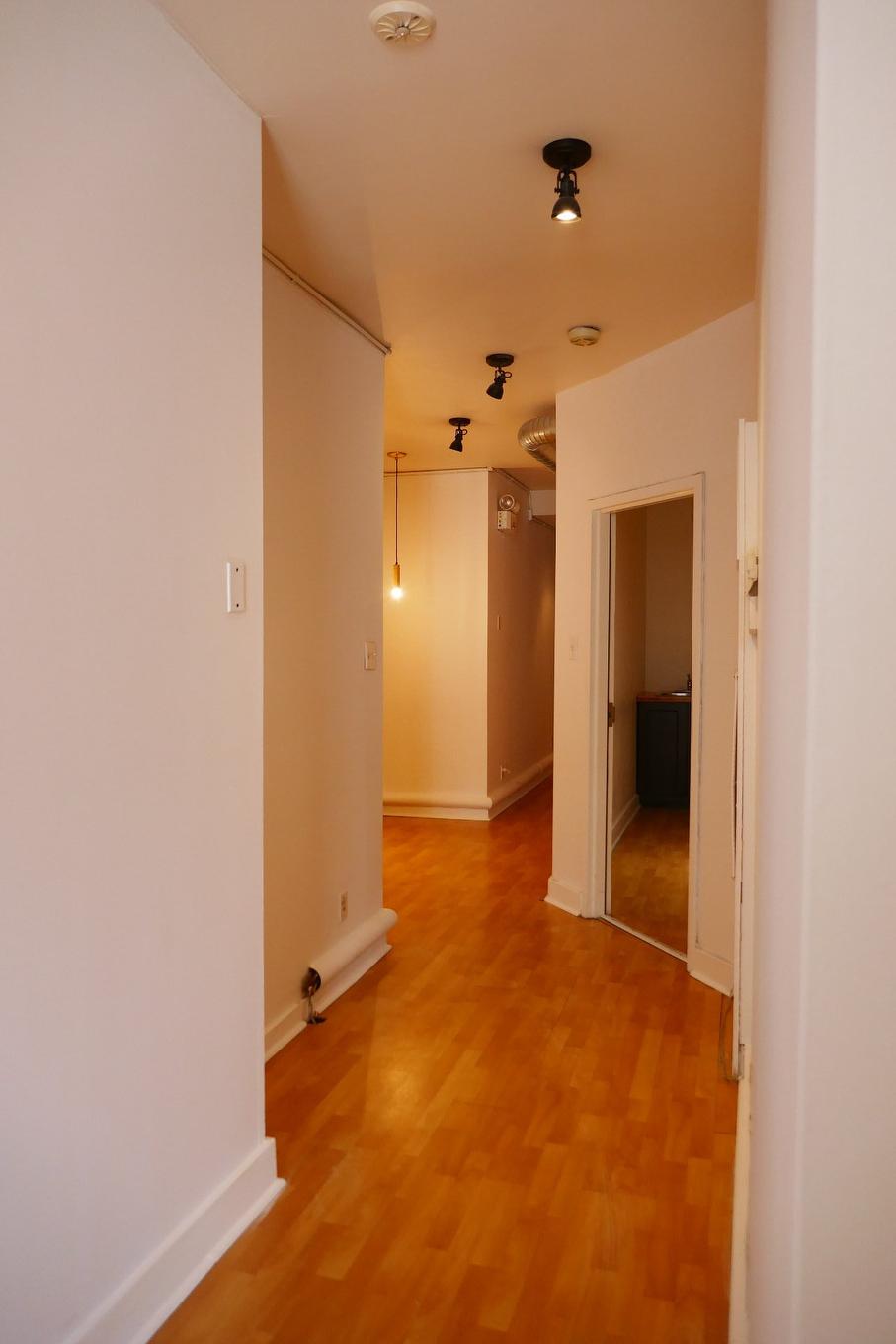 Hall d'entrée/Vestibule - 5237A Av. Du Parc, Montréal (Le Plateau-Mont-Royal), QC
