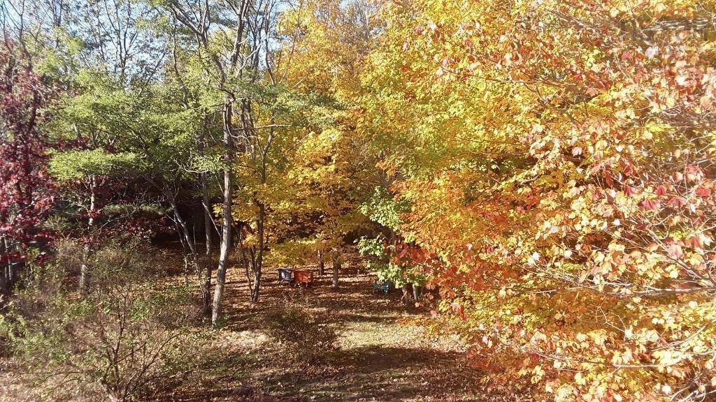 959 Highway 202, West Gore, NS