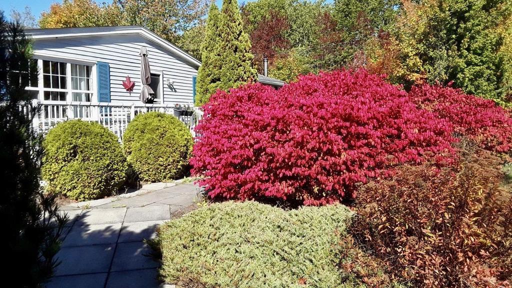 959 Highway 202, West Gore, NS