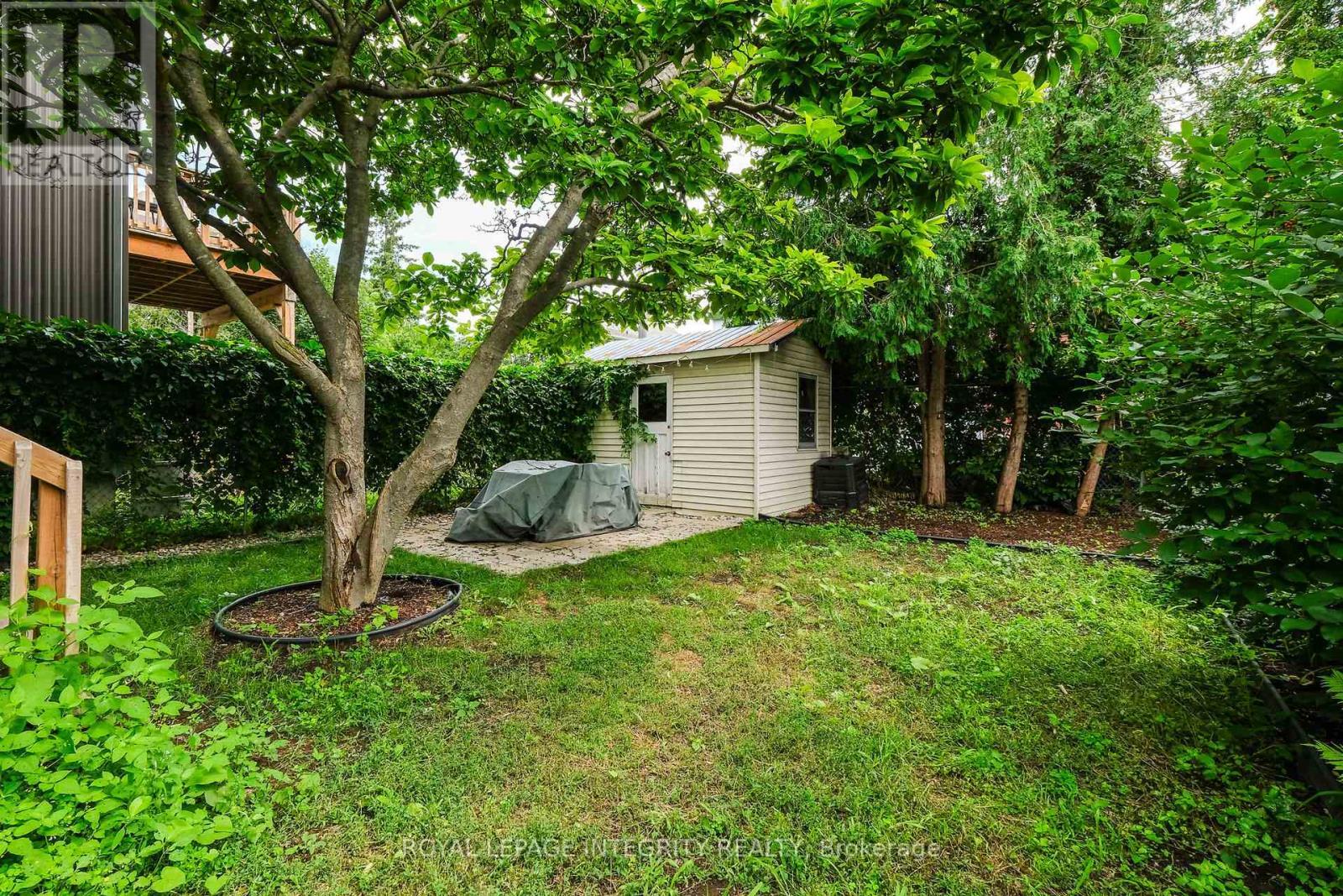 Backyard - 93 Hamilton Avenue N, Ottawa, ON - Outdoor