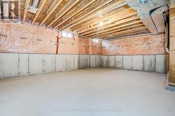 Spacious basement -