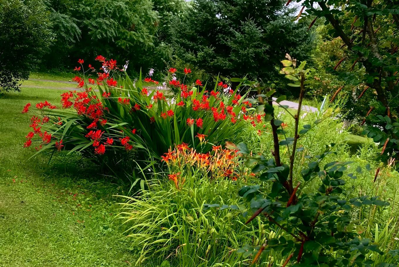 Exterior - 18 Rue Du Vieux-Verger, Brownsburg-Chatham, QC - Outdoor